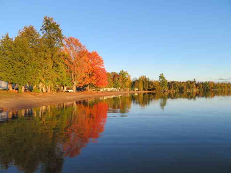 Colorful trees during fall season at the lake